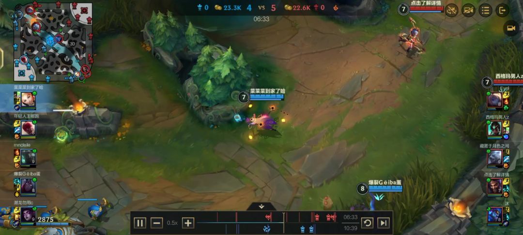 video-4898967
