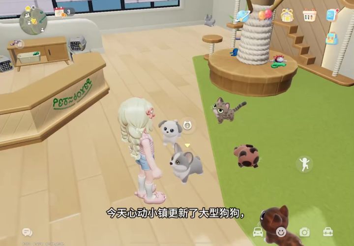 你们也刷到可爱的狗狗了嘛截图