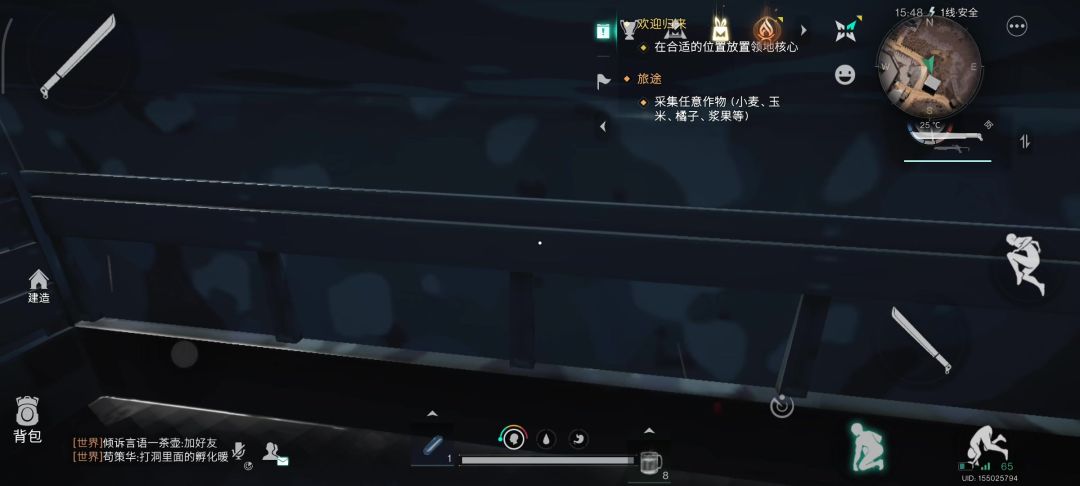 video-4899904