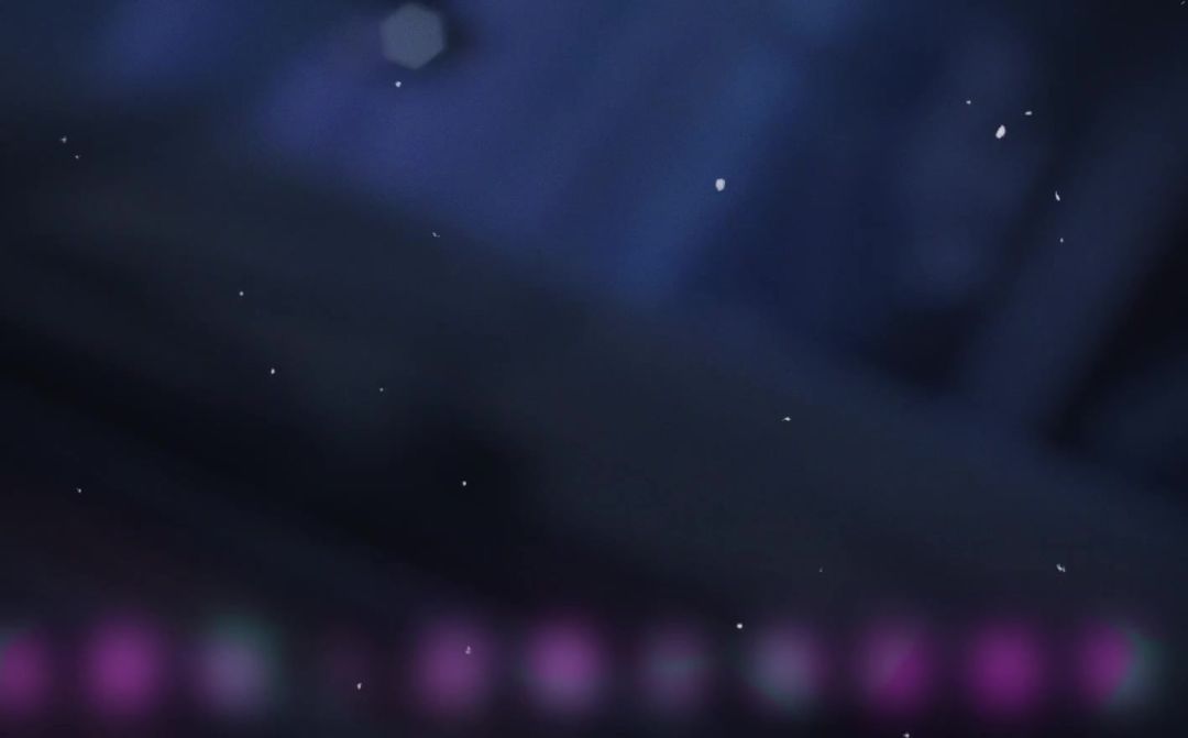 video-4901513