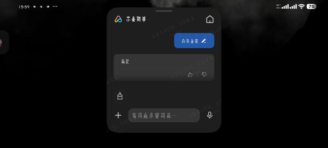 video-4905785