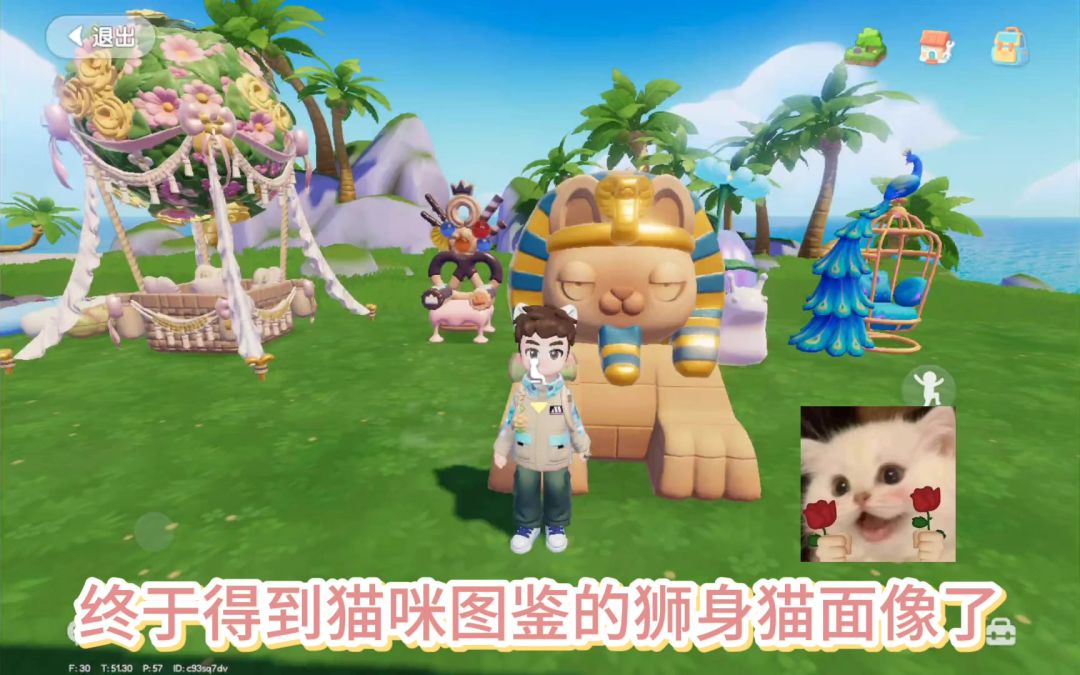 video-4905962