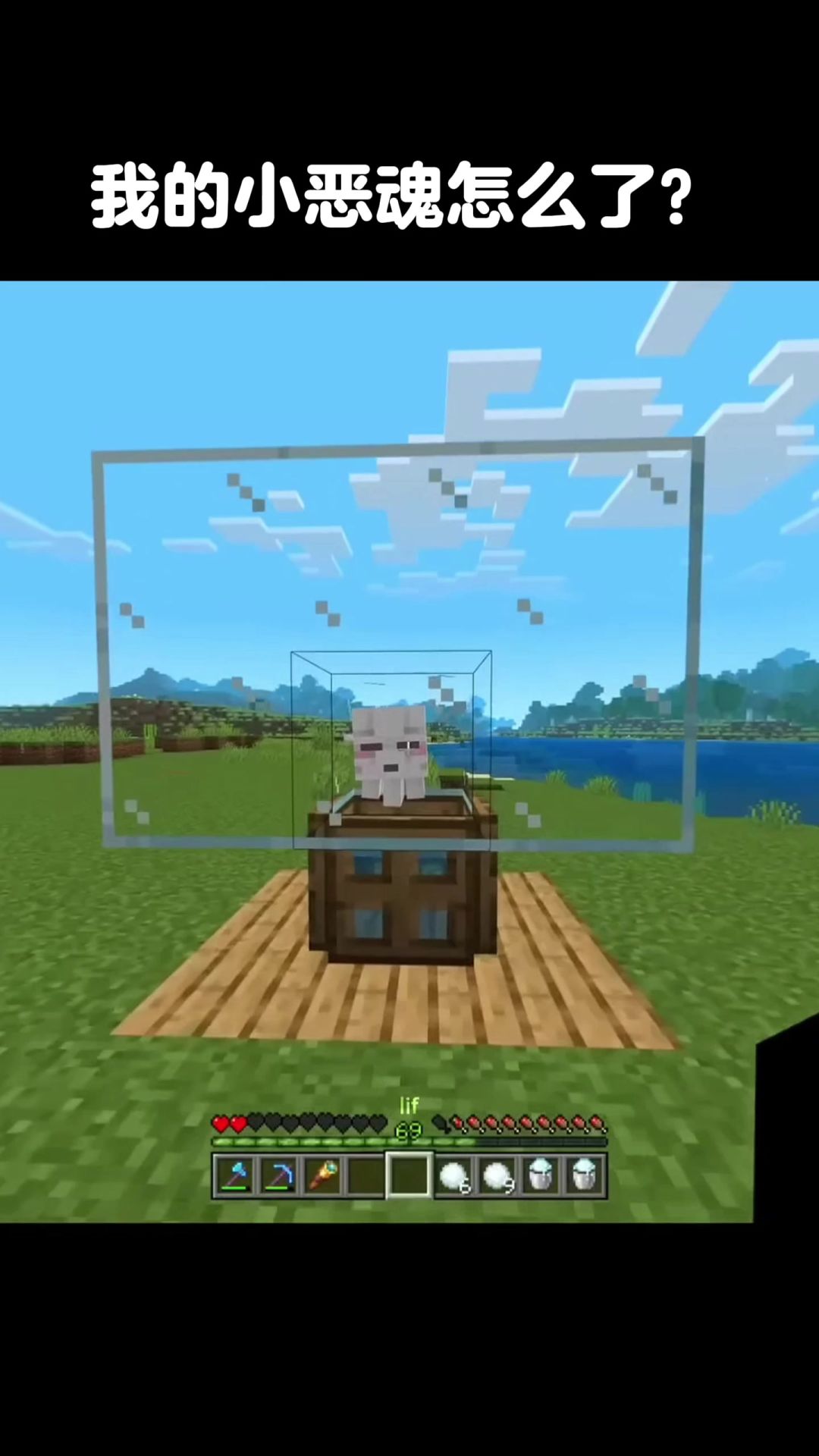 video-4906945