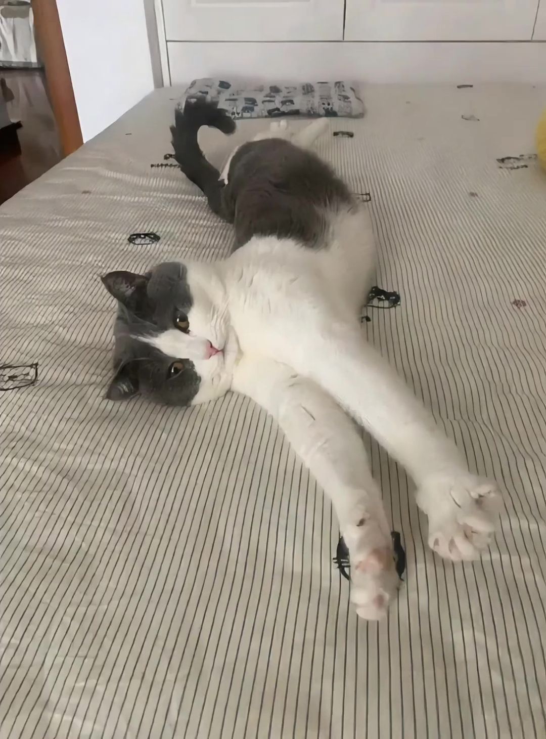 video-4912965