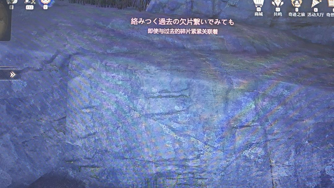 video-4915695