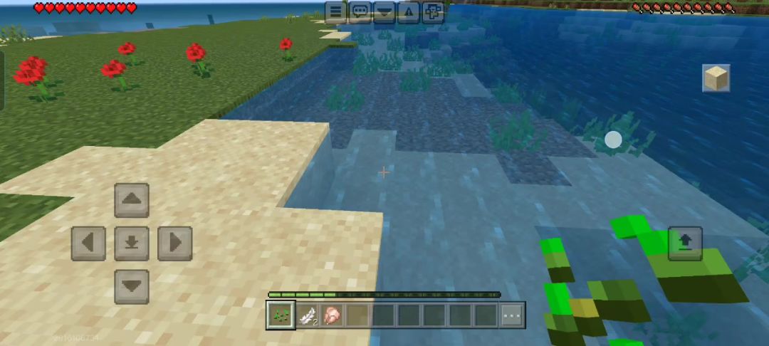 video-4916210
