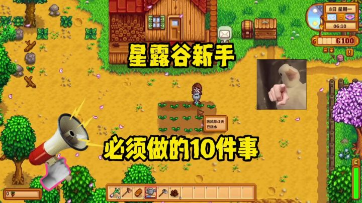 星露谷新手必须做的十件事截图