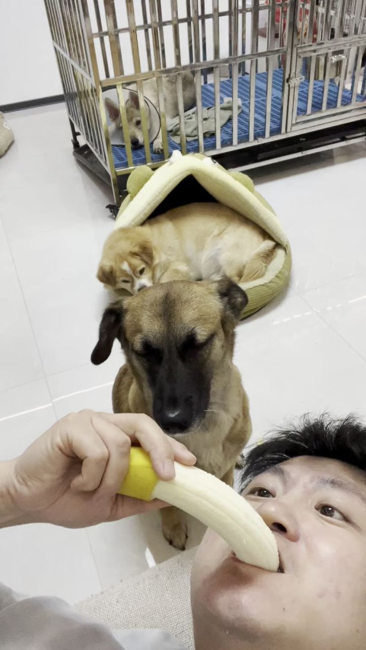 哈哈截图