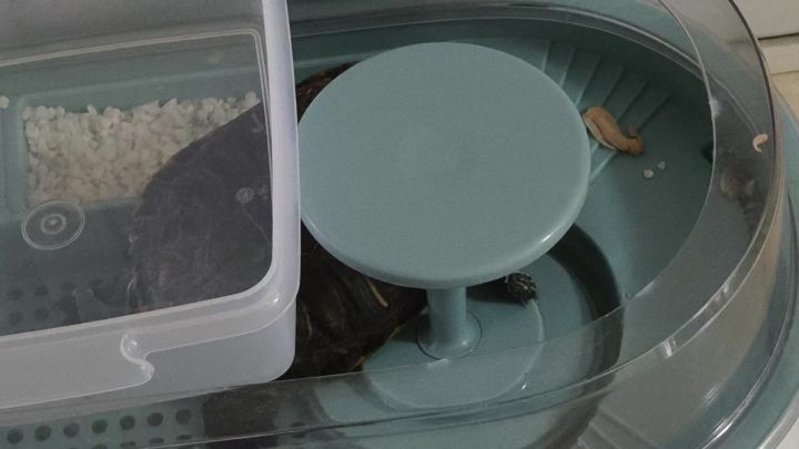 再来晒晒E9吧截图