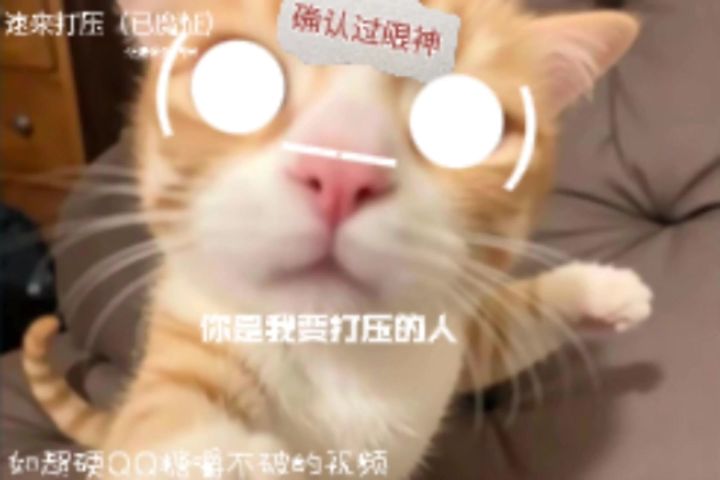 要回校了,最后再风一次吧截图