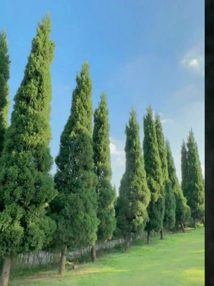 莫问归期截图