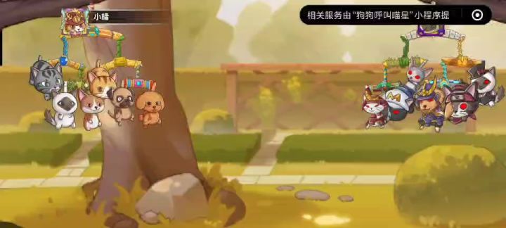 狗狗呼叫喵星截图
