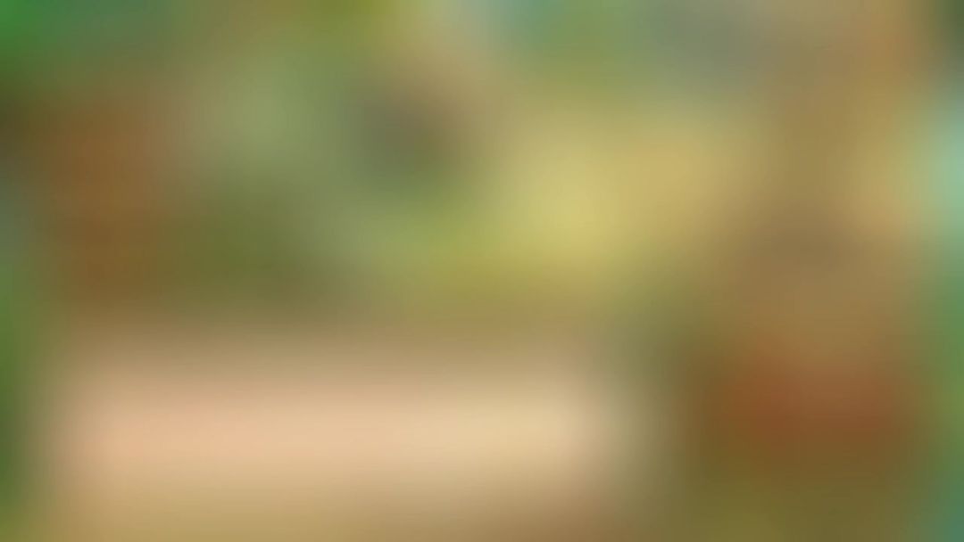 video-4930680
