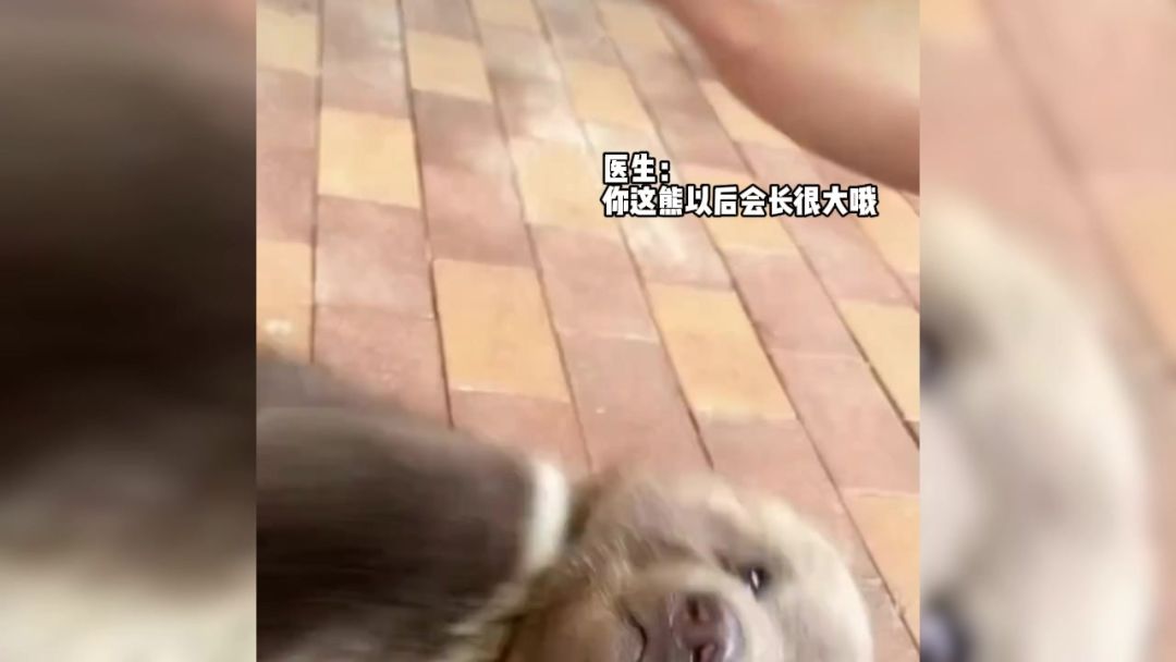 video-4932612