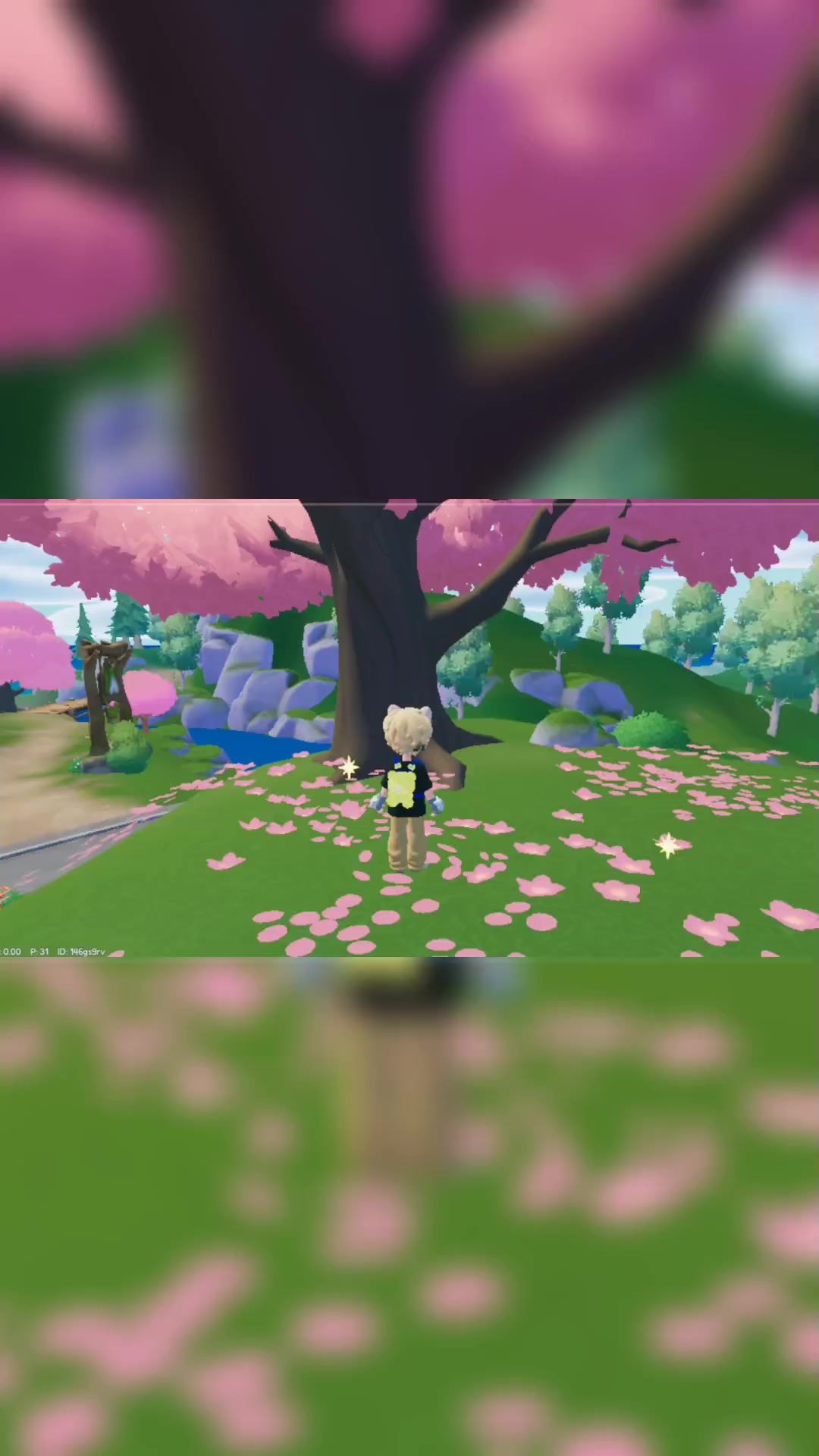 video-4934011