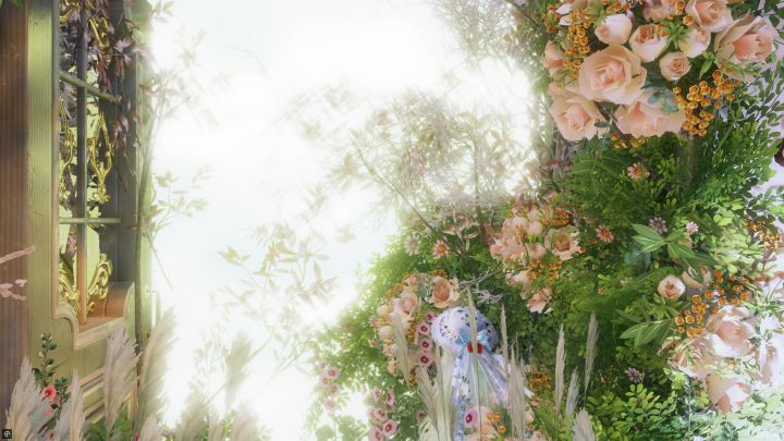 以闪—花核截图