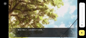 【网王】冰面镜推荐