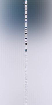 白鹤亮翅丨燕云十六声【口口】