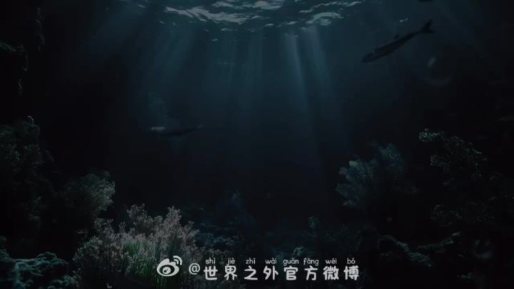 家人们出PV了。截图