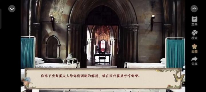 女主在病房遇见前来探视自己的韦斯莱双子截图