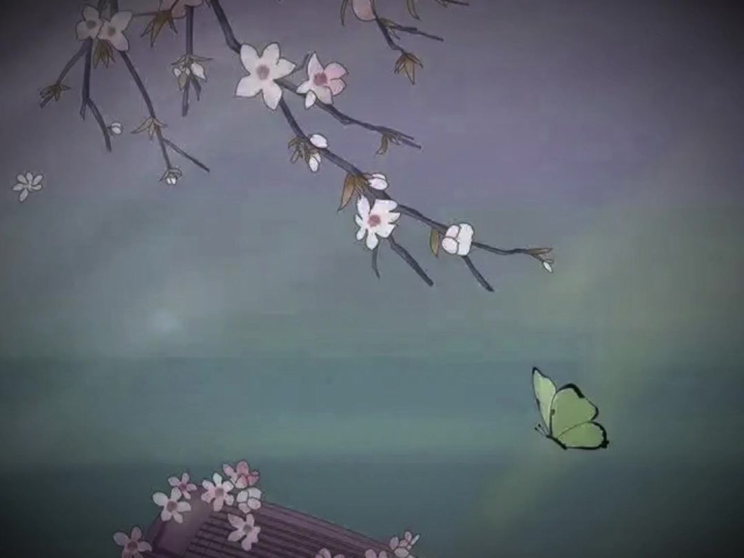 video-4938098
