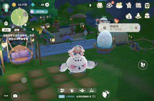 立羽鸮的“低空飞行”