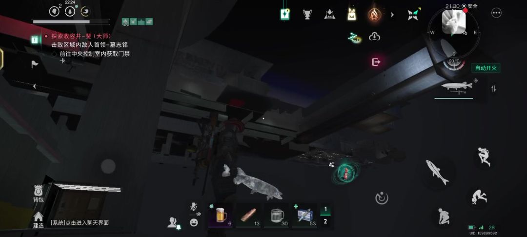 video-4939459
