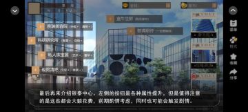 贵妇养成指南