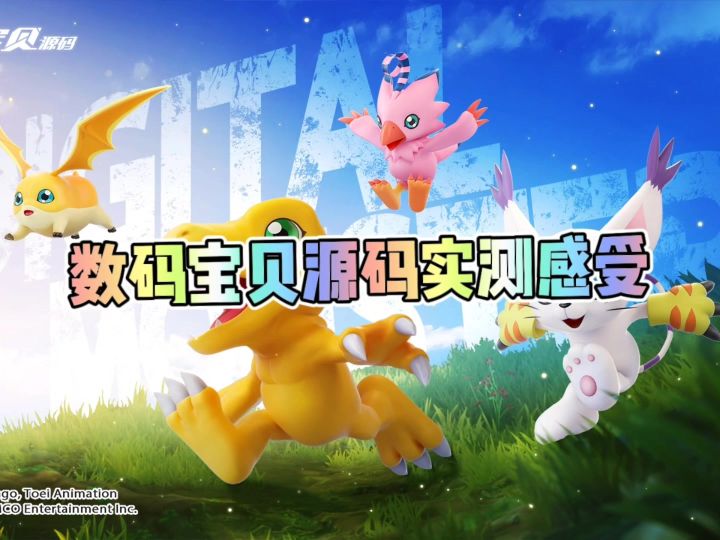 数码宝贝源码实测感受截图