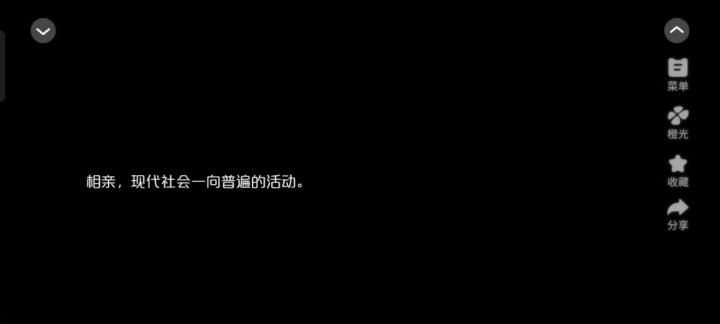 相亲日记截图