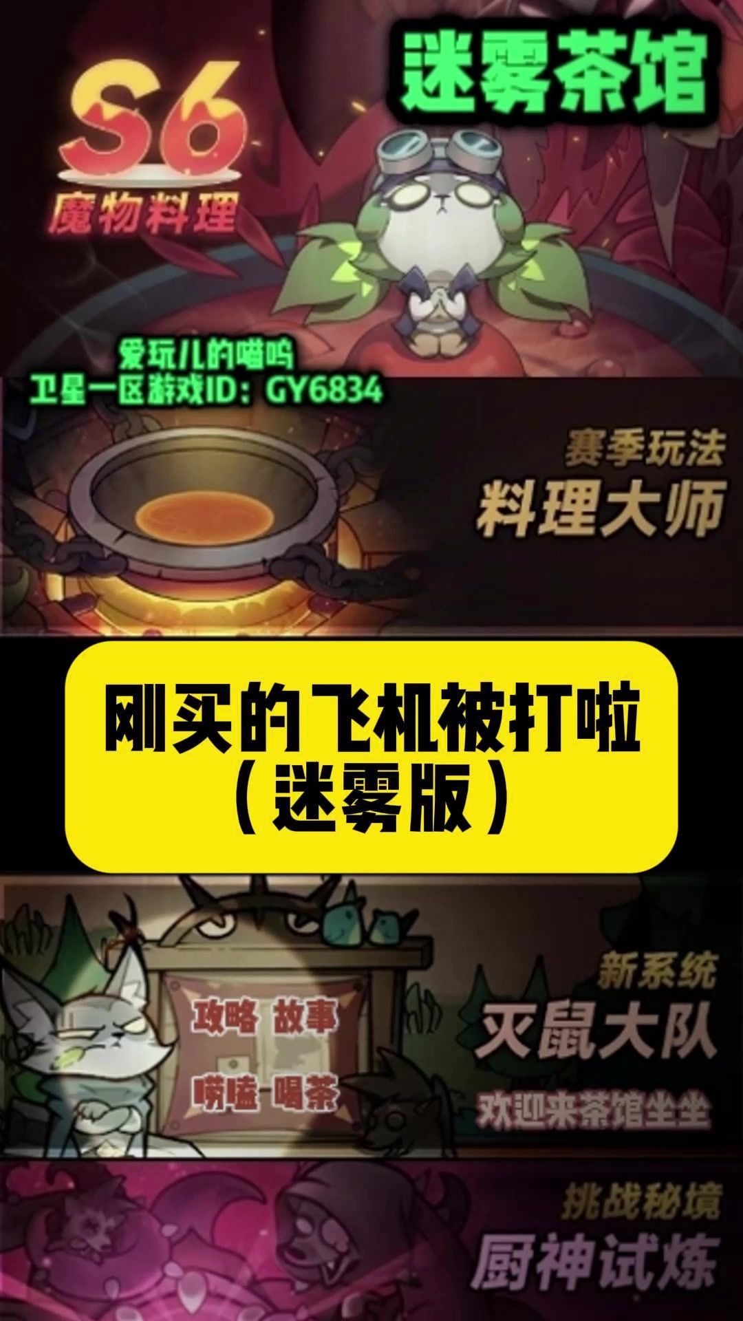 video-4944126