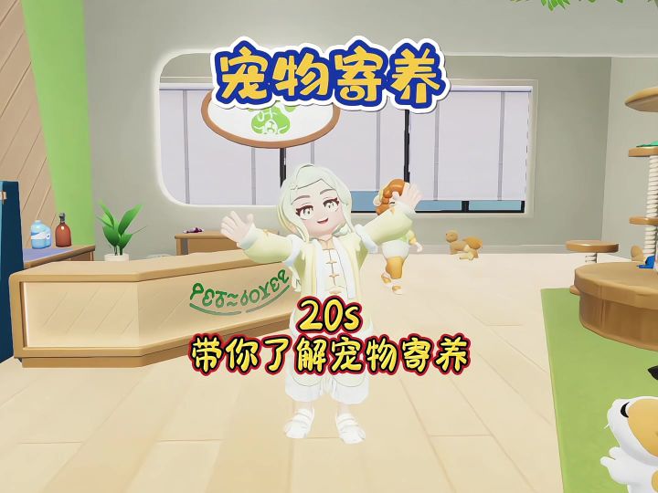 20秒带你了解宠物寄养,怎么把猫咪和小狗寄养?截图