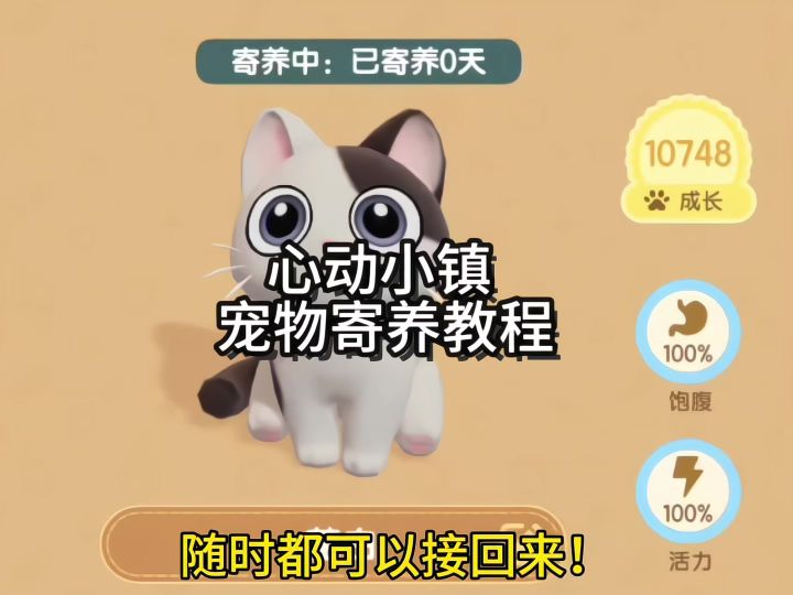 心动小镇 宠物寄养教程截图