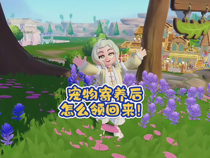 宠物寄养之后怎么领回来!截图