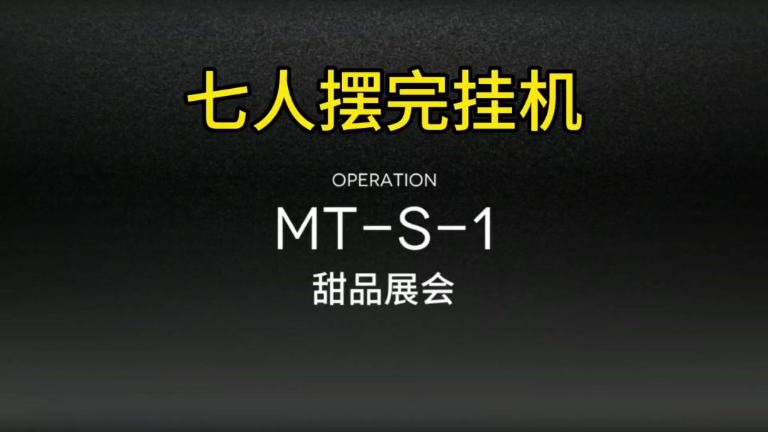 【众生行记】MT-S-1七人摆完挂机截图