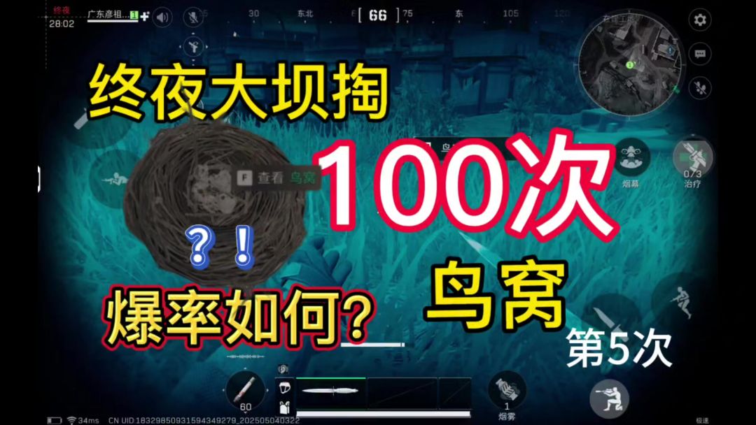video-4949600