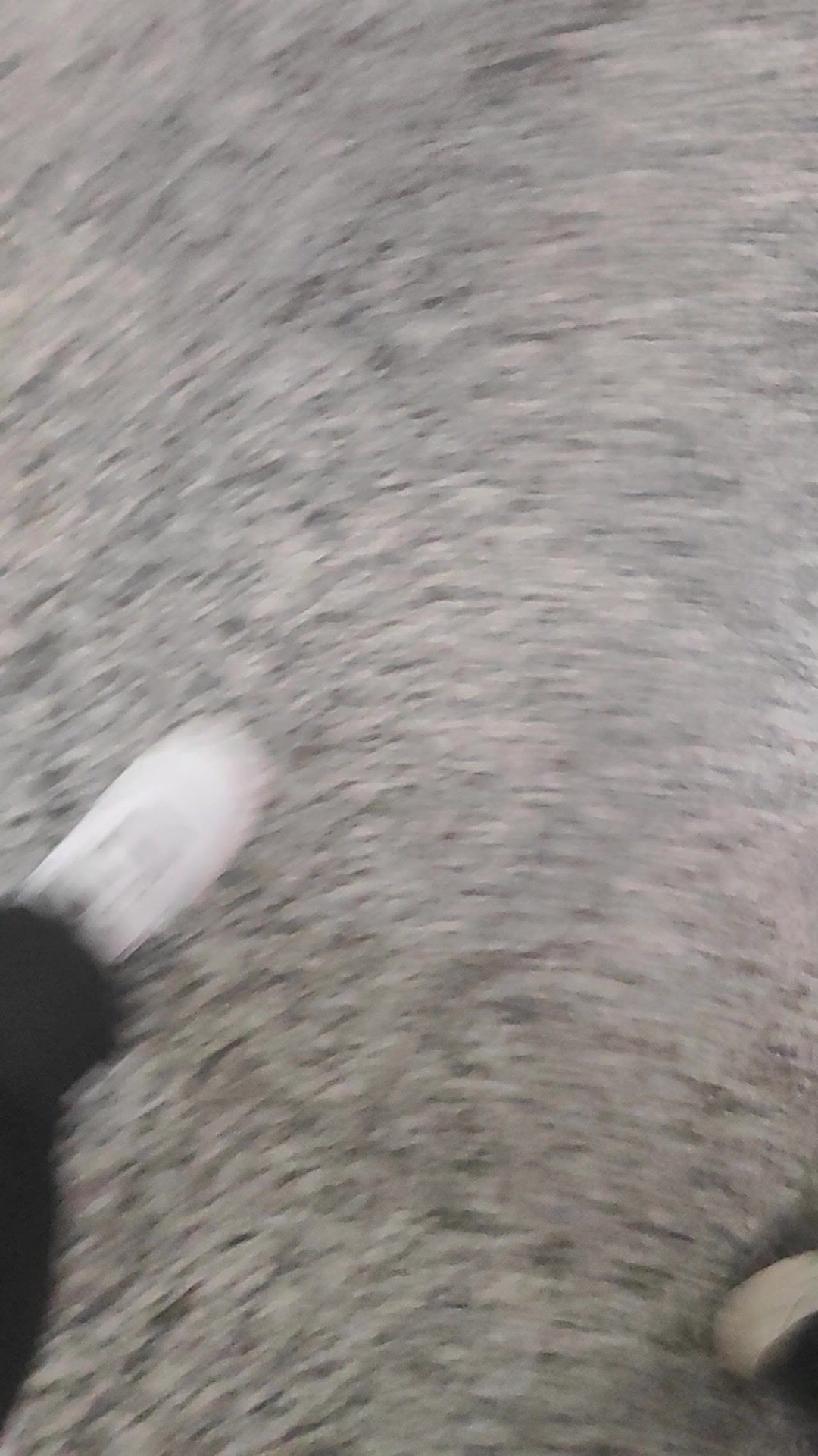video-4950612