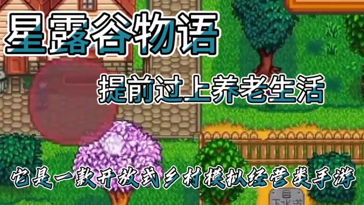提前过上养老生活截图