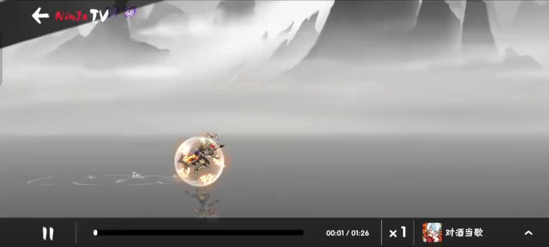 video-4954453