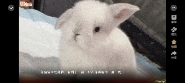 新山海经截图