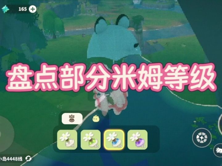 部分米姆等级展示🤓截图