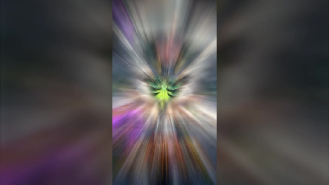 video-4959160