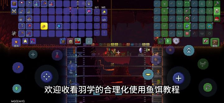【4分钟】泰拉瑞亚合理化使用鱼饵教程截图