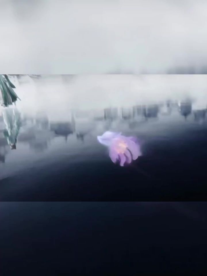 史书上的寥寥几笔,是他们波澜壮阔的一生截图