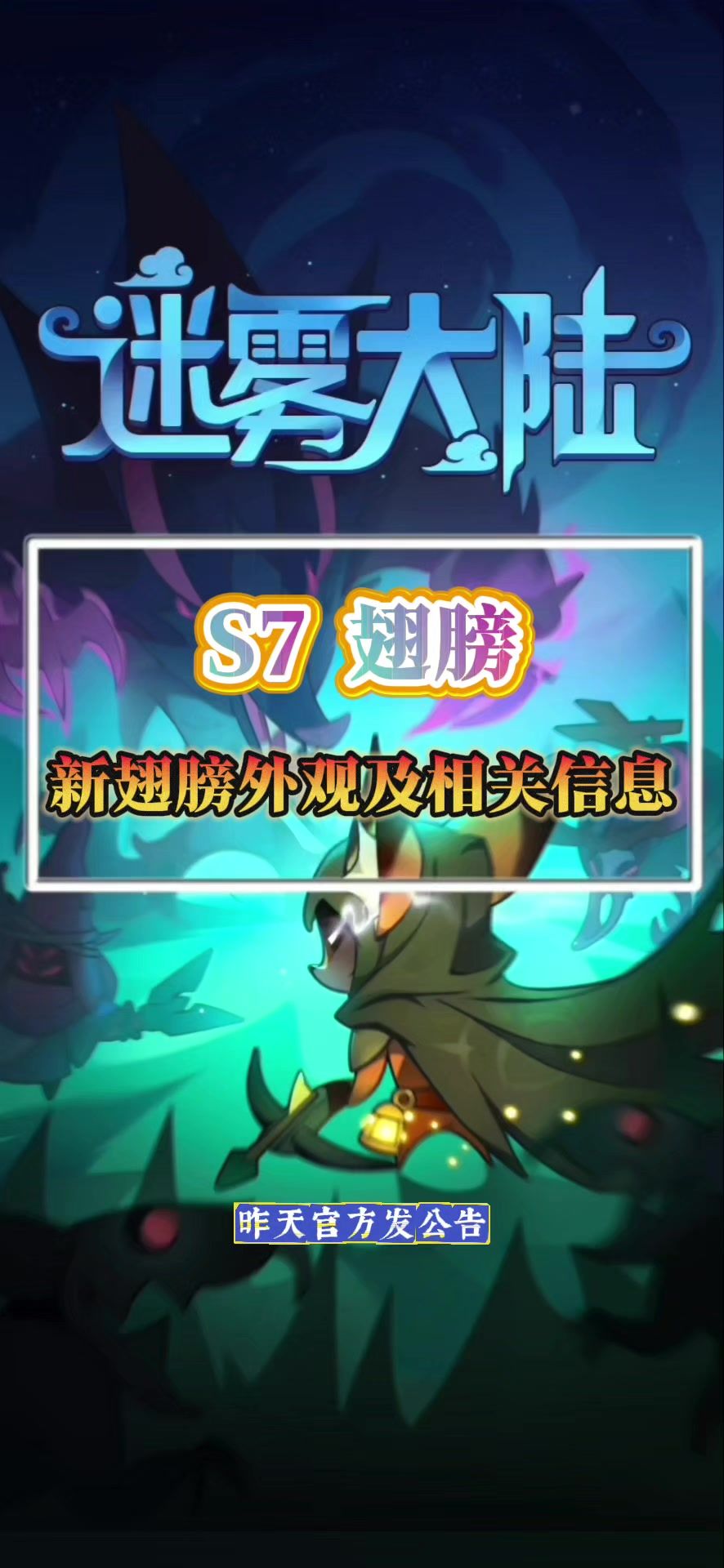 video-4962751