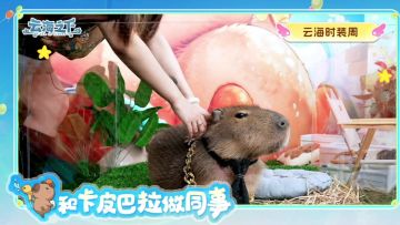 卡总高萌集锦？！520直播超萌剪辑别错过！