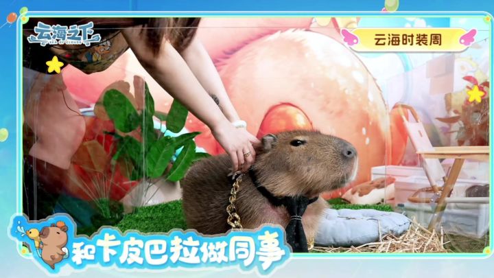 卡总高萌集锦？！520直播超萌剪辑别错过！截图