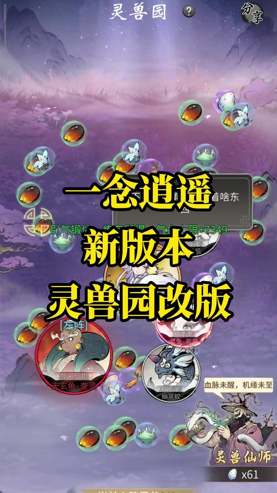 video-4965816