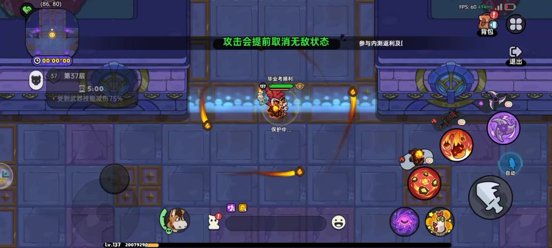 video-4967779