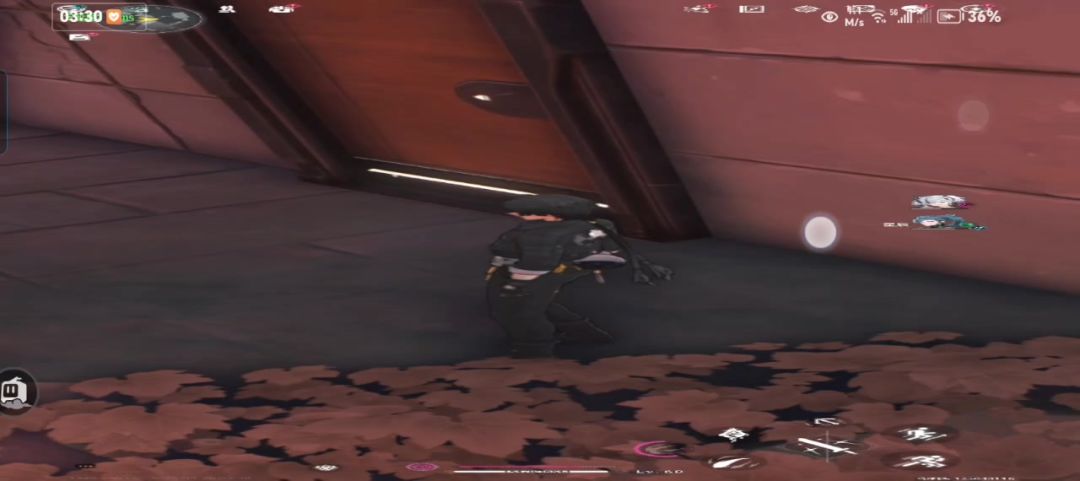 video-4968552